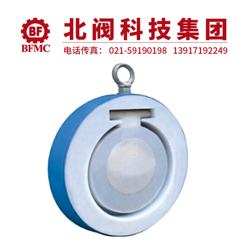 H74F46襯四氟對(duì)夾止回閥22.jpg