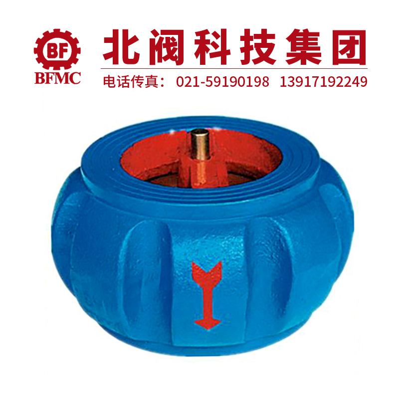 H77X南瓜對夾型止回閥22.jpg