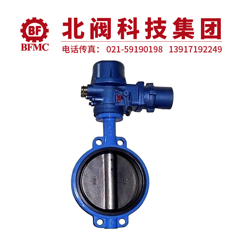 D971J-電動(dòng)全襯膠蝶閥22.jpg