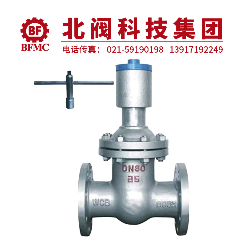 FDZ45H-16C鑄鋼防盜閘閥22.jpg
